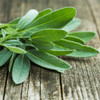 Sage Essential Oil