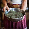 Women's Brew Tea Swatch