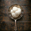 Lion's Mane Mushroom Sample