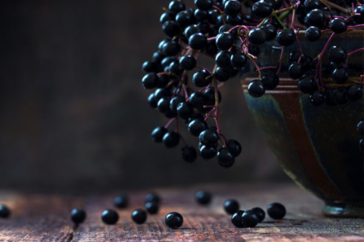 Is Elderberry Dangerous for Covid 19?