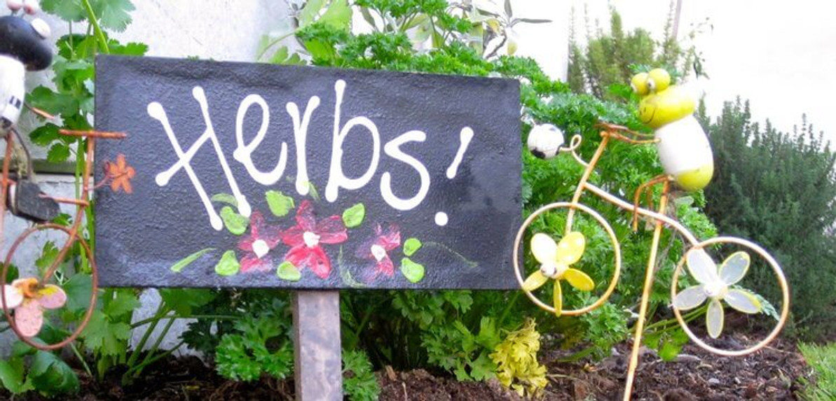 15 Medicinal Plants to Grow