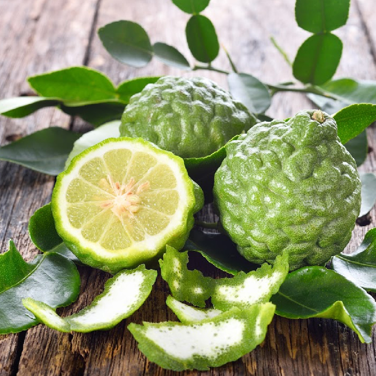 Bergamot Essential Oil