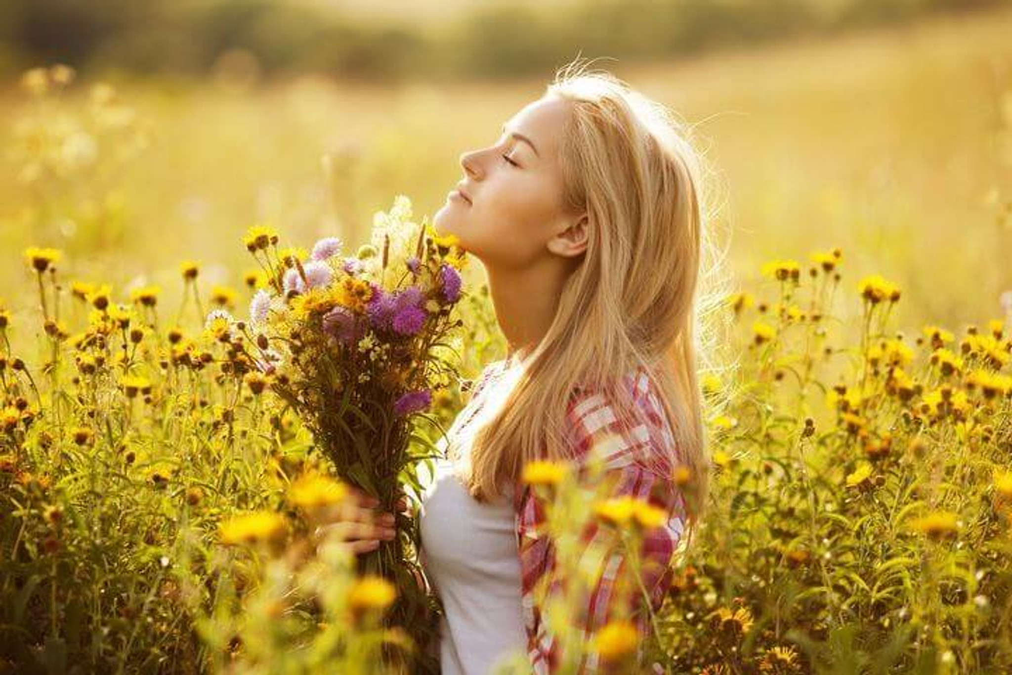 Fight Hay Fever and Allergies Naturally