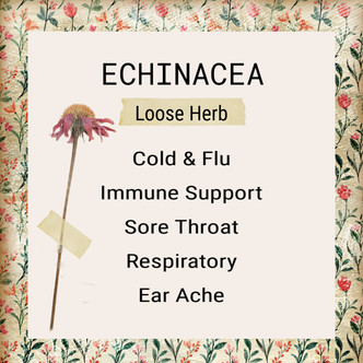 Echinacea Herb