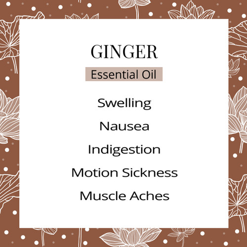 Ginger Root Essential Oil