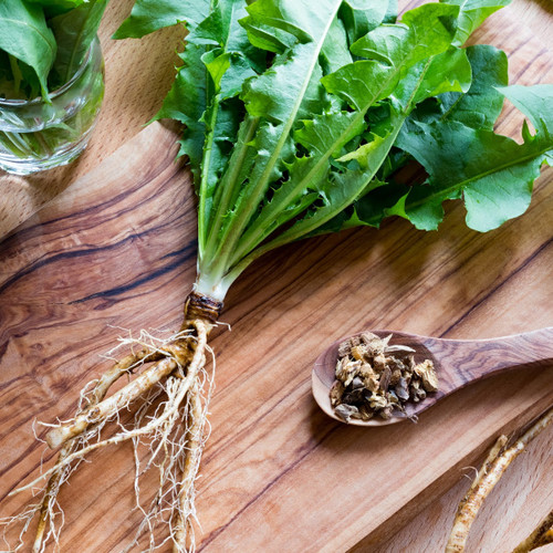 Dandelion Extract Herbal Tincture Benefits