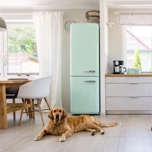 A Clean, Purified Home