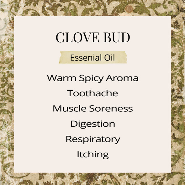 Clove Bud Essential Oil