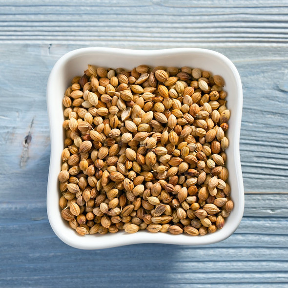 Coriander