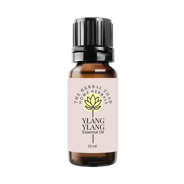 Ylang Ylang Essential Oil