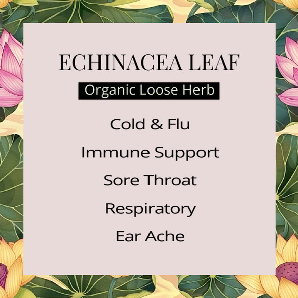 Echinacea Herb Loose Bulk Herb Benefits