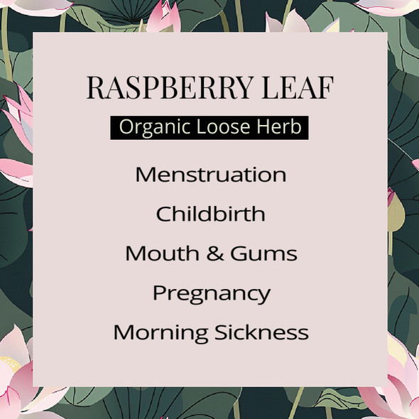 Raspberry Leaf, Cut & Sifted Benefits