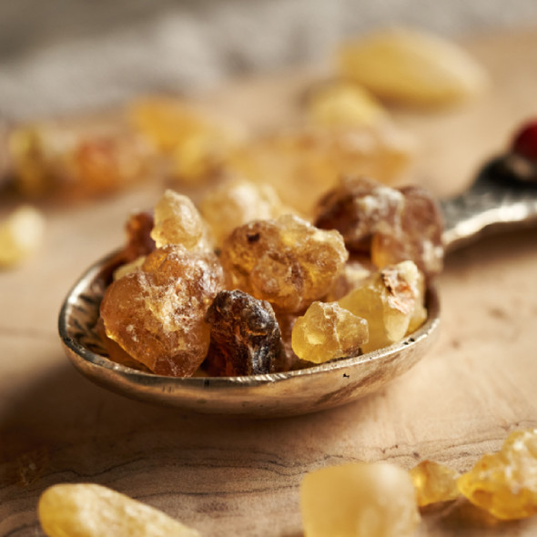 Frankincense Royal Essential Oil