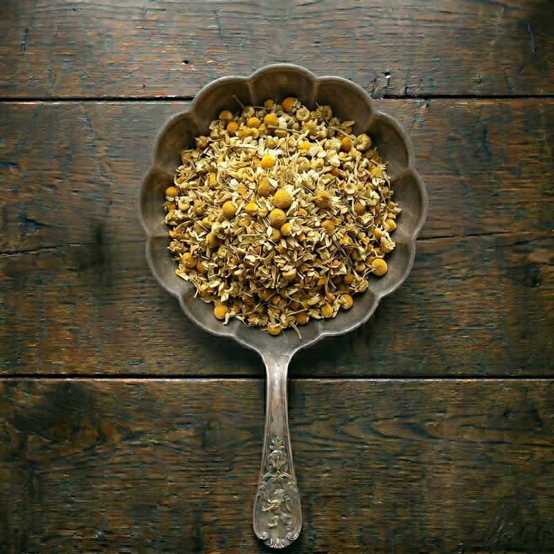 Chamomile flower whole sample
