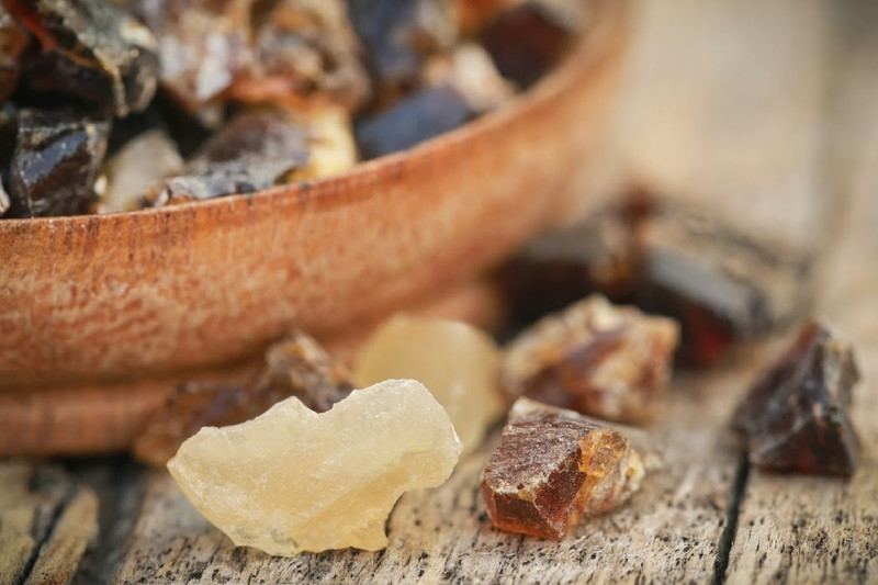 Let's Compare Frankincense Species