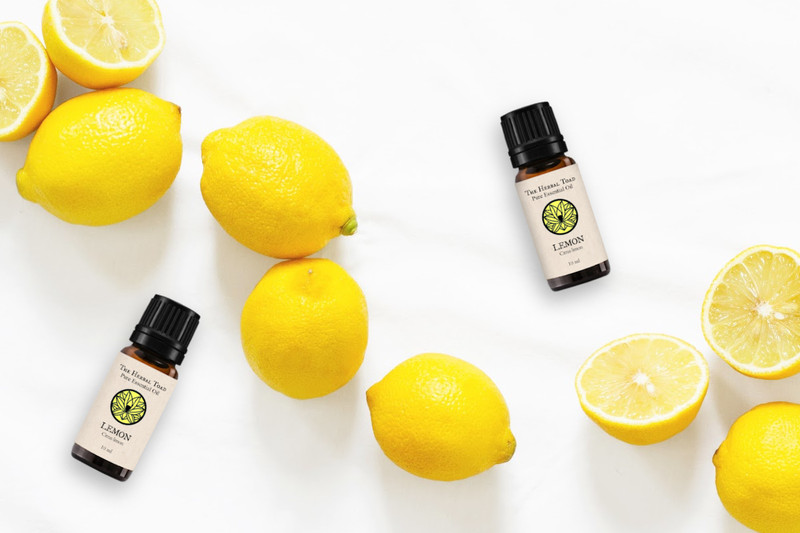 My Favorite Things To Do With Lemon Essential Oil
