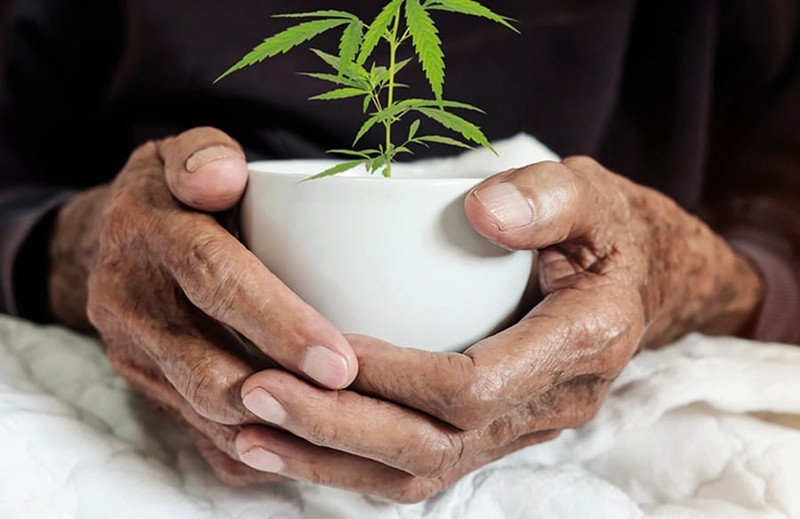 The Truth About CBD The Truth About CBD