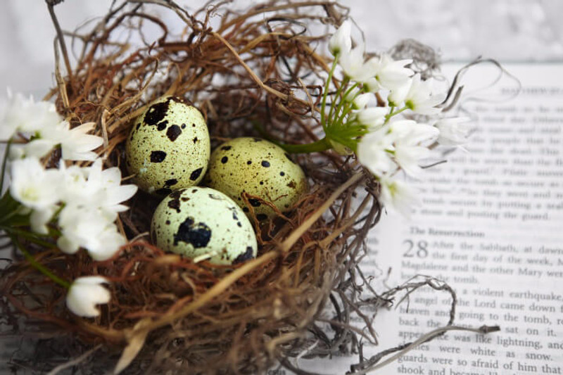 Misty Monthly April 2019