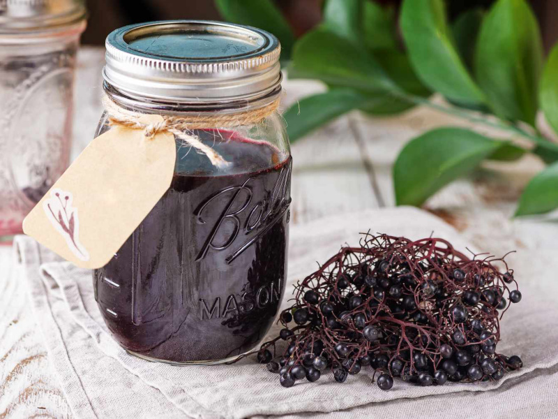 Why We Love Elderberry Tincture