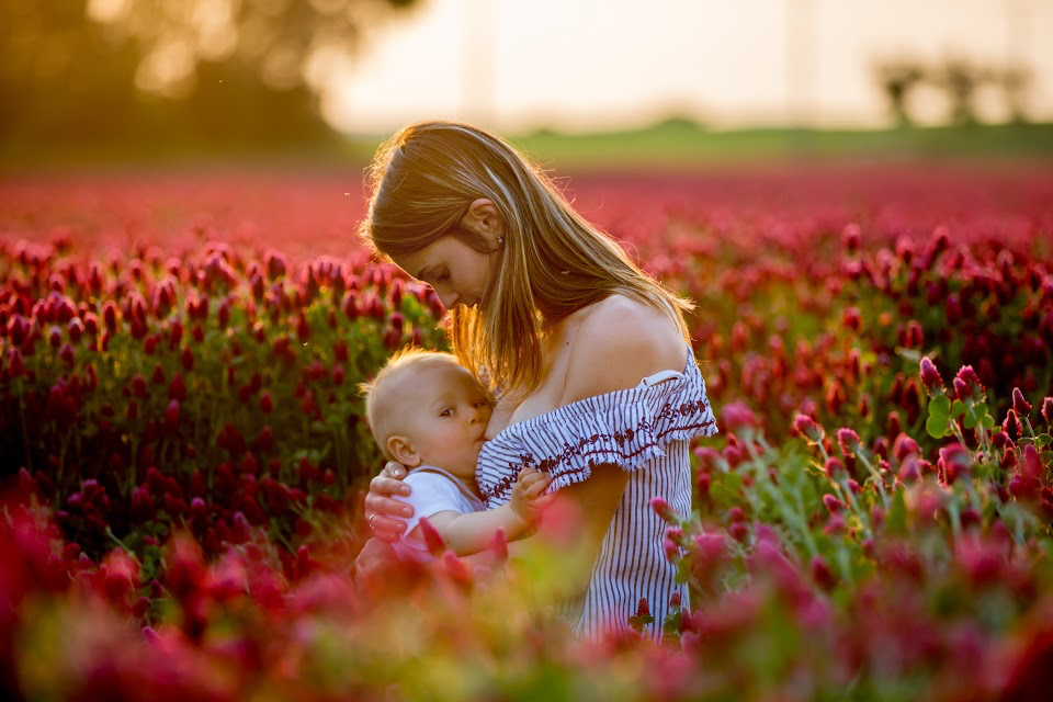 Herbs to Avoid While Breastfeeding