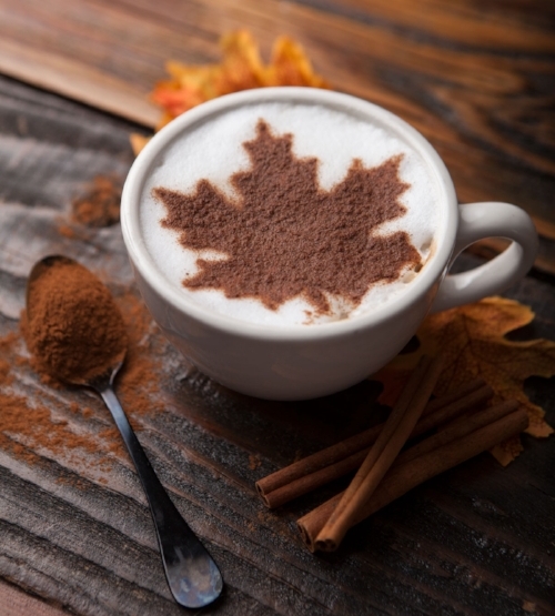 Red Rooibos Cinnamon Latte