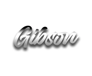 Gibson - Chrome - 16"