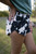 Black Cow Shorts