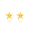 Star Earrings