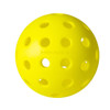 Head Championship 40 Outdoor Pickleball Balls - 6 Pack