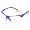 Tecnifibre Absolute Protective Squash Goggles - Blue / Red