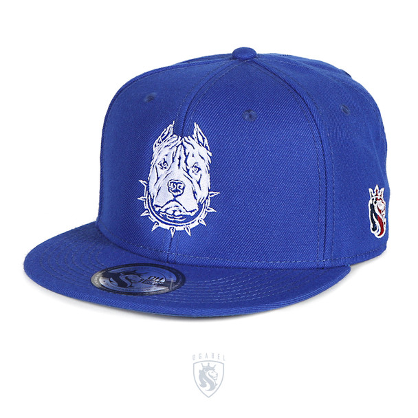 Awesome Pit-bull embroidery on a royal blue snapback hat