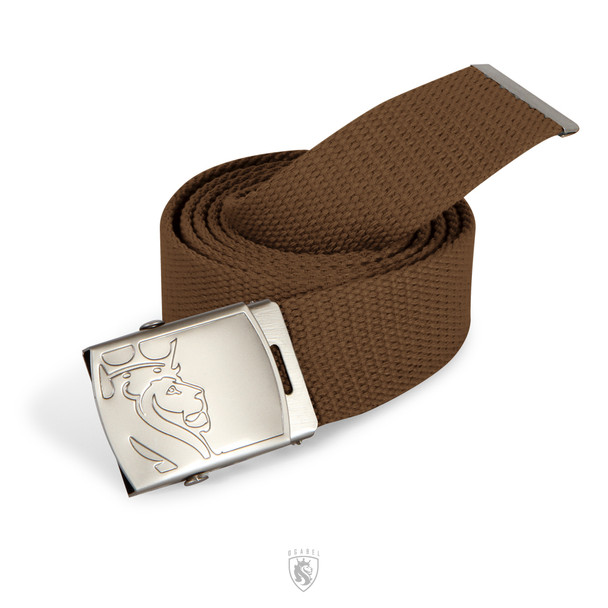 Brown Web Belt with Lion Buckle