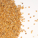 Kennedy Wild White Millet Bird Seed
