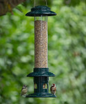 Squirrel Buster Evolution Seed Feeder