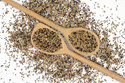 Kennedy Wild Premium Canary Mix - Aviary Birds