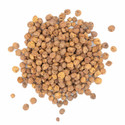 Kennedy Wild Tiger Nuts - Medium