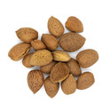 Kennedy Wild Whole Almonds in Shell