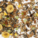Kennedy Wild Premium Conure & Parrot Mix - Aviary Birds
