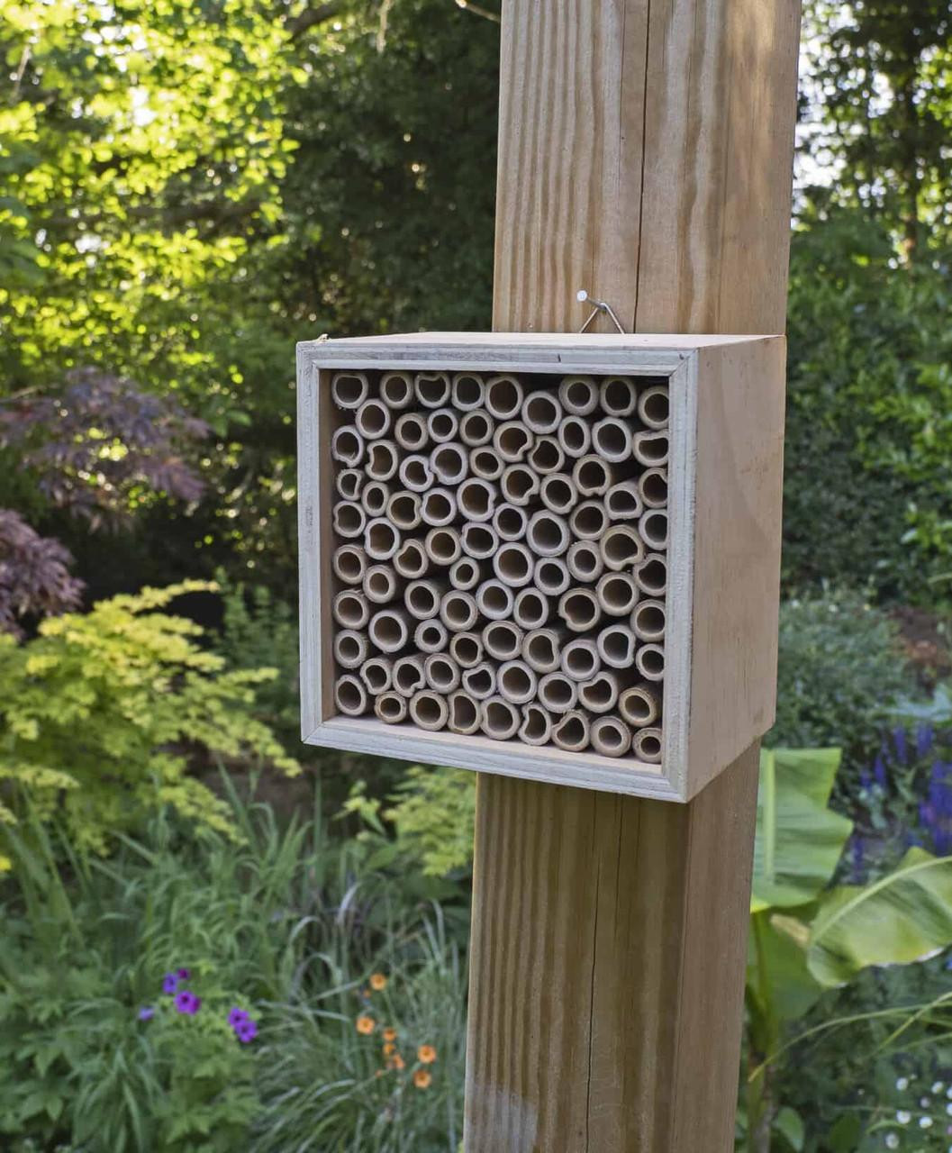 Block For Insects Jacobi Jayne Nooks & Crannies Insect Block