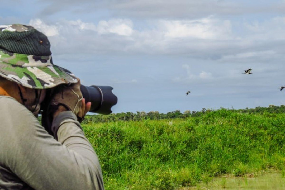 The Big Garden Birdwatch Results 2022