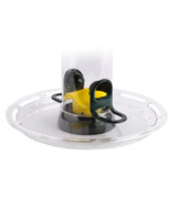 Jacobi Jayne Big Easy Seed Tray