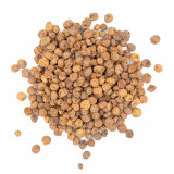 Kennedy Wild Tiger Nuts - Medium