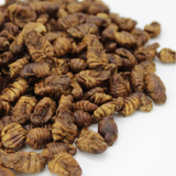 Kennedy Wild Dried Silkworm Pupae