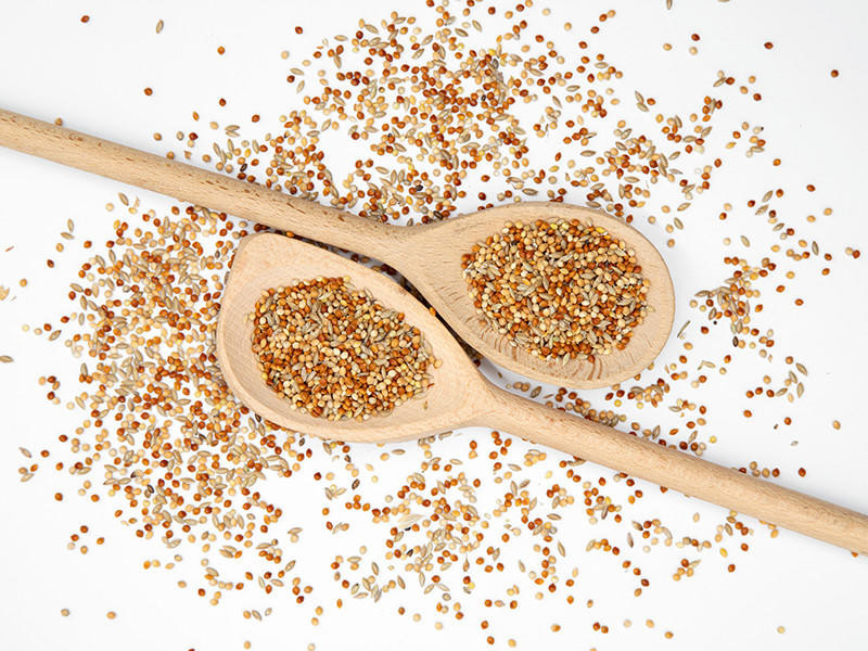 Budgie Food Kennedy Wild Bird Food