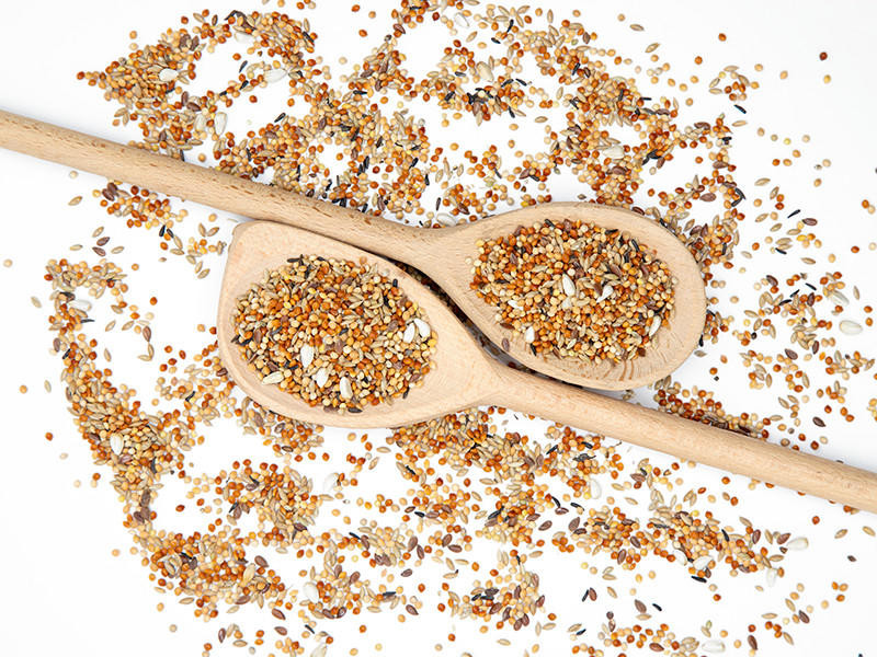 Budgie Food Kennedy Wild Bird Food