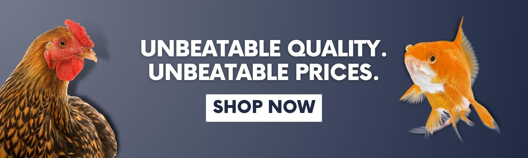 Kennedy Wild Bird Food & Pet Supplies In The UK