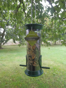 Bird Seed Feeders