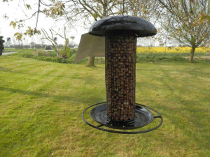 Bird Peanut Feeders