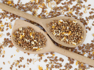 Kennedy Wild Mixed Corn & Wheat