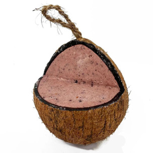 Premium Whole Coconut Shell Feeder